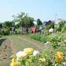 PU1_5278 - Kopie.JPG