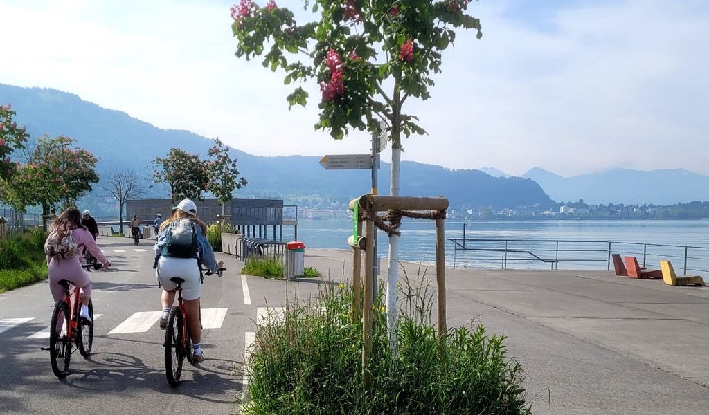 Lochau Hafen und Seeanlagen NEU EUROPAN Begehung Mai 2023 _13_.jpg