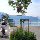 Lochau Hafen und Seeanlagen NEU EUROPAN Begehung Mai 2023 _13_.jpg