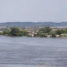 AFP_33H42W6.jpg