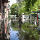 AFP_33H78DU.jpg