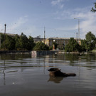 Russia_Ukraine_War_65945.jpg