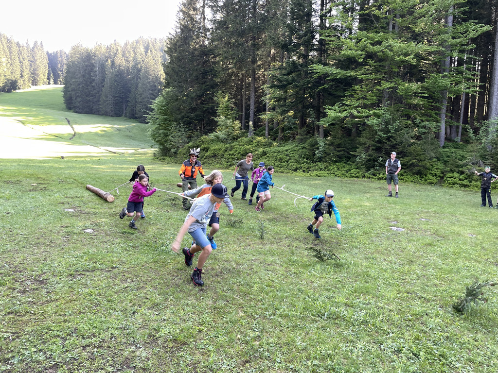 IMG_5337.JPG