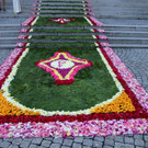 001-IMG_4597.JPG