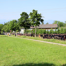111-IMG_4740.JPG