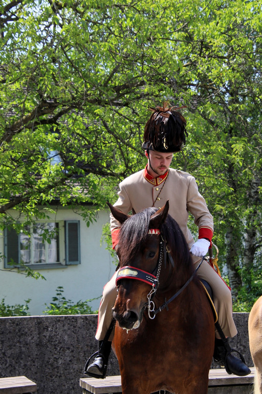 303-IMG_5008.JPG