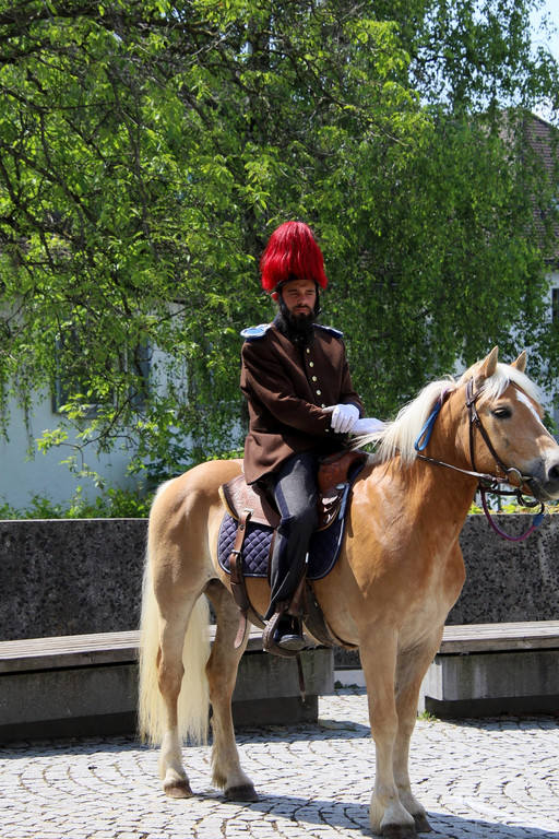 310-IMG_5016.JPG