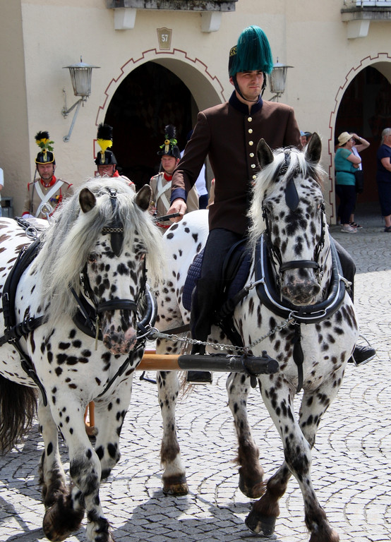 332-IMG_5052.JPG