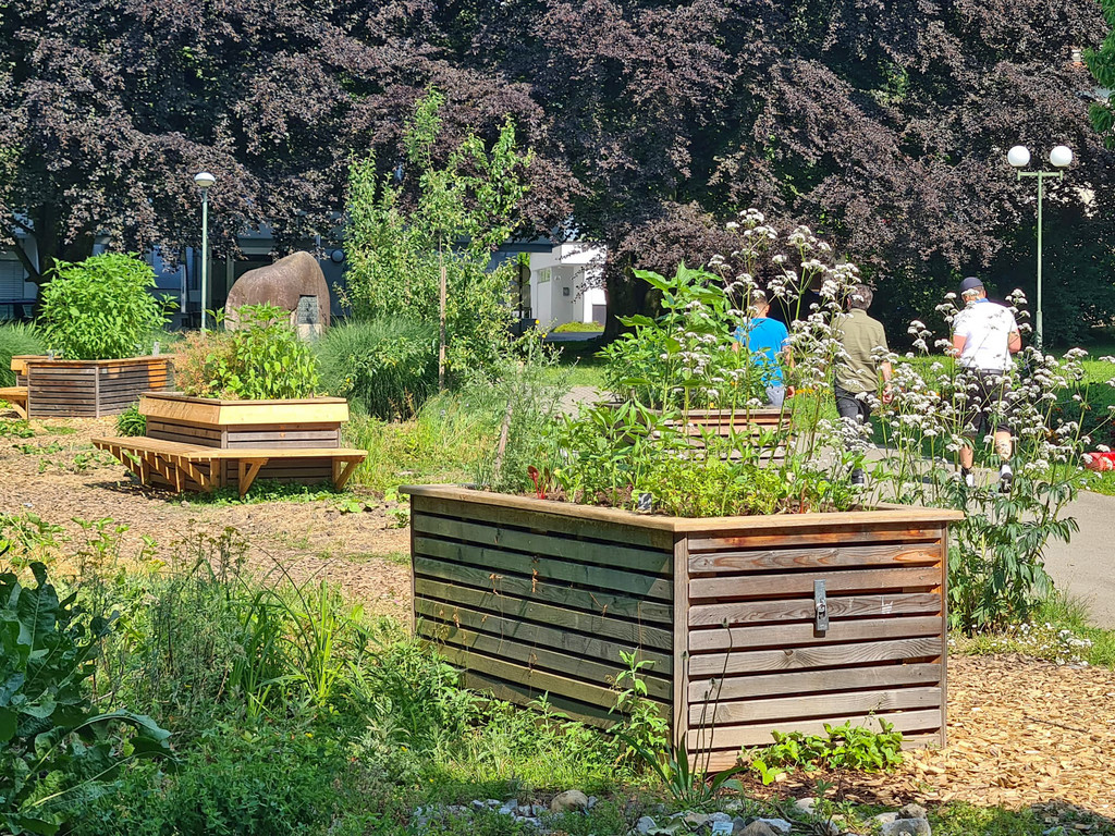 WhatsApp Bild 2023-06-09 um 12_10_19.jpg