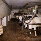 n27.JPG