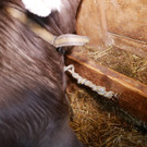 n12.JPG