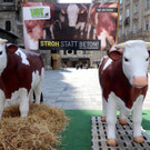 VGT-Protest in Wien