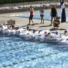 Schulaquathlon