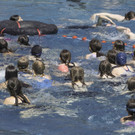 es geht rund im Wasser.jpg