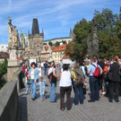 1154444.jpg