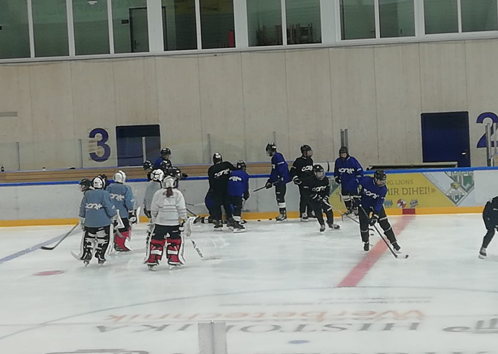 hockey99.jpg