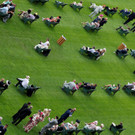 2023-06-20T125242Z_436317146_UP1EJ6K0ZRR2L_RTRMADP_3_HORSERACING-ASCOT.JPG