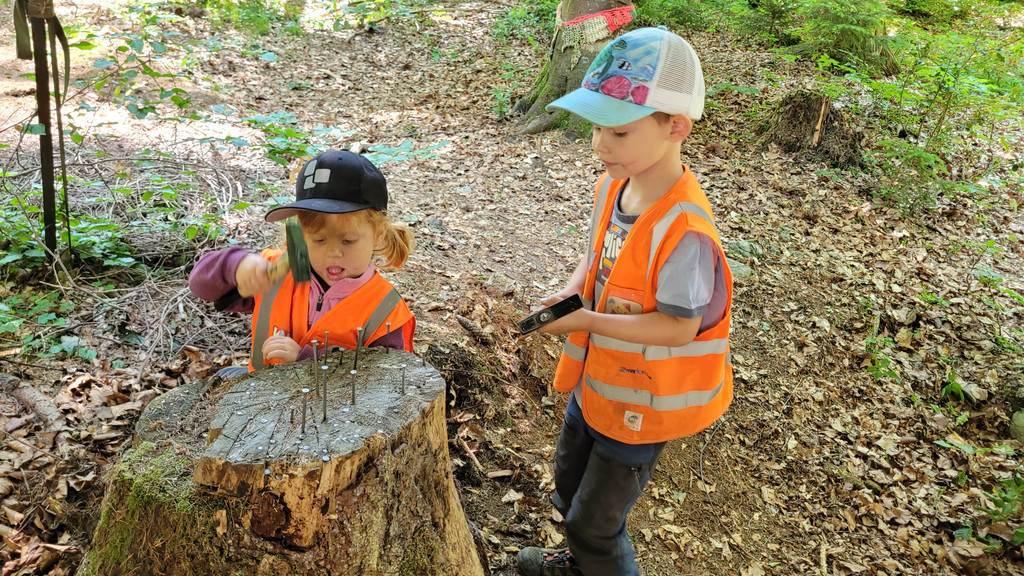 Waldwoche Juni 2023 _31_.jpg