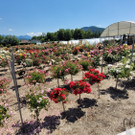 IMG-20230614-WA0010.jpg