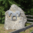 37 DSC00848.JPG