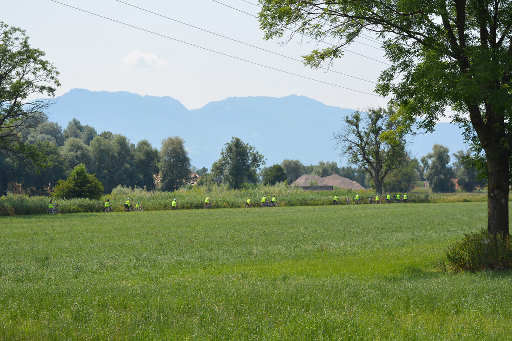 DSC_0045 _13_.JPG