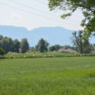 DSC_0045 _13_.JPG
