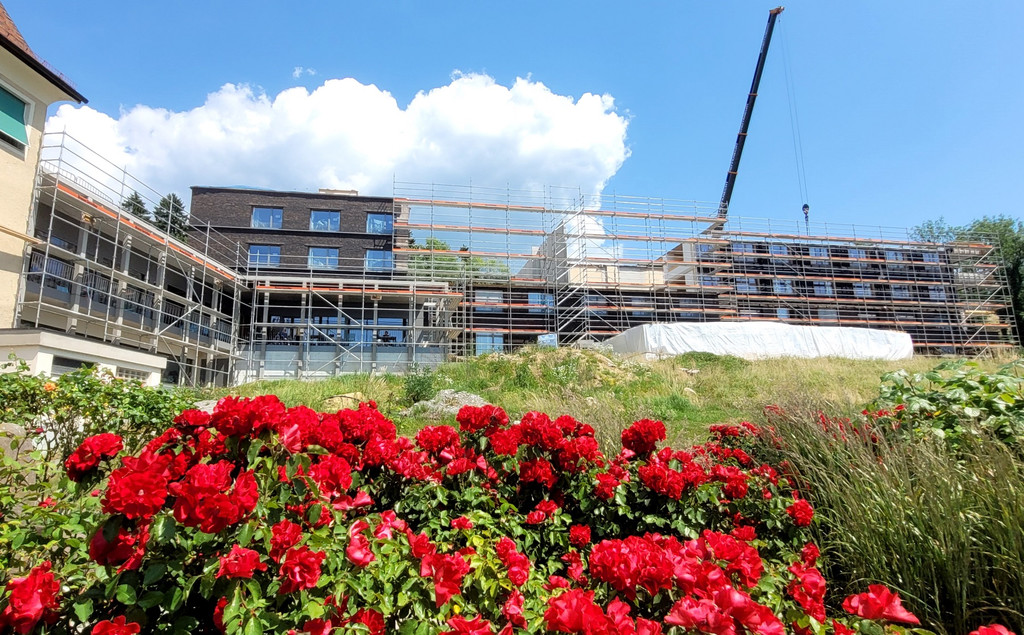 Jesuheim ERSATZBAU ABBRUCH und AUFBAU Haus Pf__nder NEU 15-06-2023 _9_.jpg