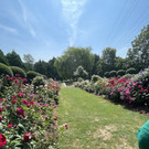 OGV HArd Vereinsausflug 2023