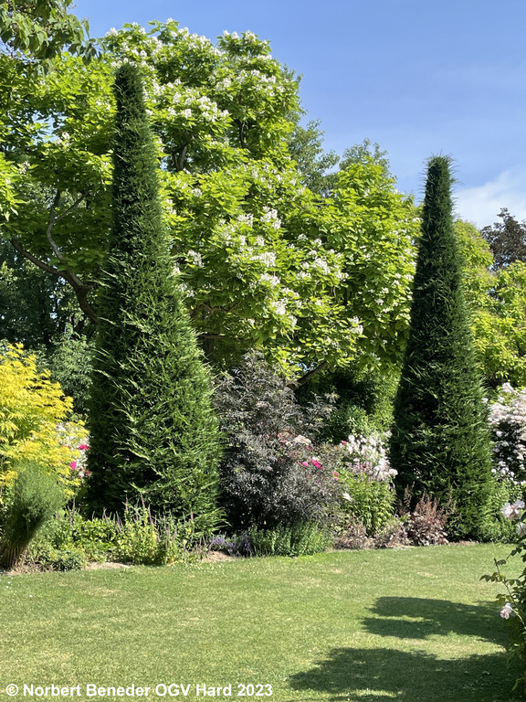OGV_Ausflug_2023_051.jpg