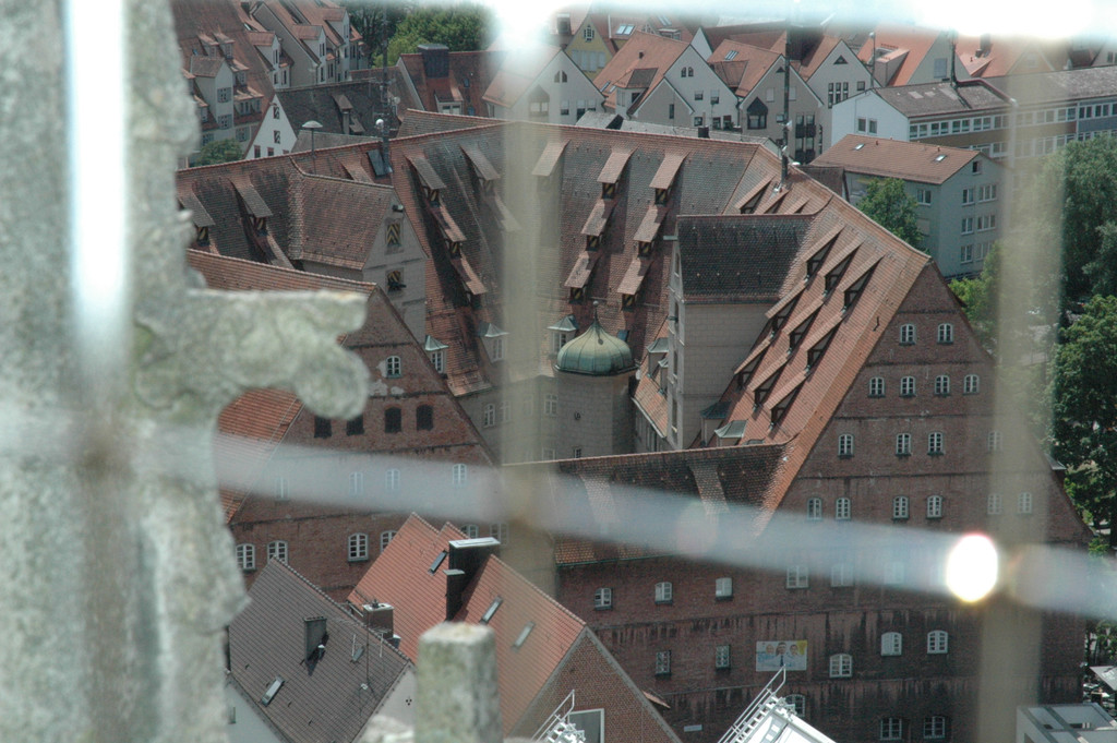 DSC_0175.JPG