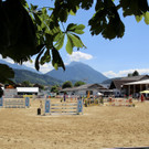 Springreitturnier Rankweil