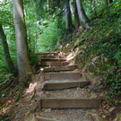 DSCI9401.JPG