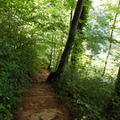 DSCI9402.JPG