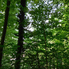 DSCI9403.JPG