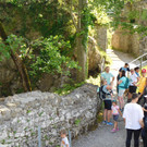 DSCI9405.JPG