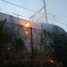 AFP_33L7888.jpg