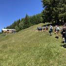 IMG_8184.JPG