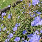 IMG_1976.JPG