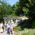 DSCI9462.JPG