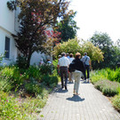 DSCI9463.JPG