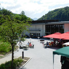 DSCI9476.JPG