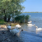 IMG_3987.JPG