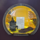 DSC_0106.JPG