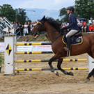 Monika Niederländer
