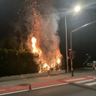 Heckenbrand in Feldkirch