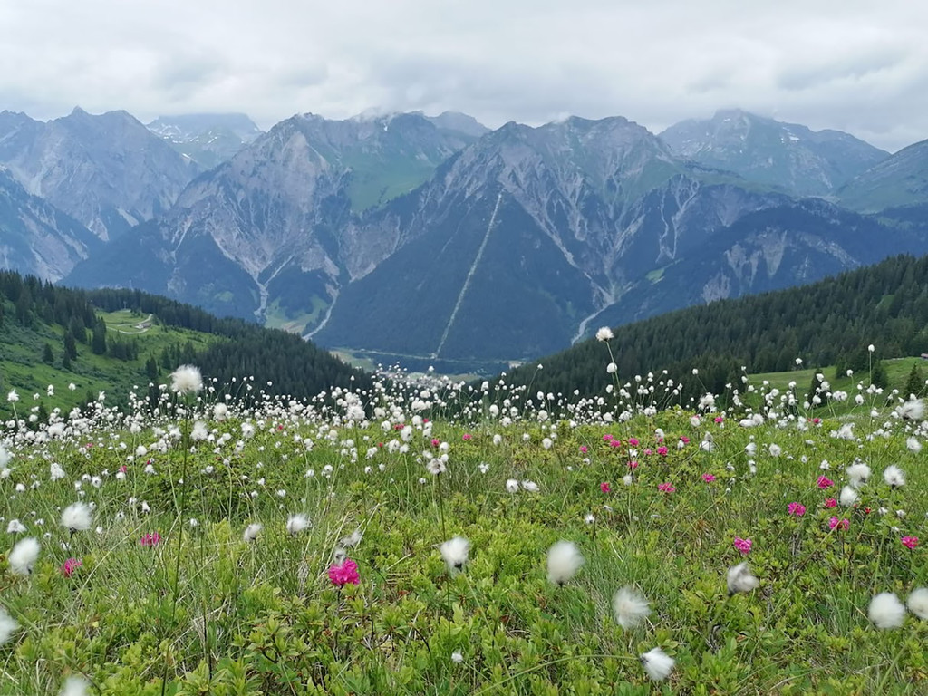 11_Thu__ringer Alpe.jpg