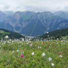 11_Thu__ringer Alpe.jpg