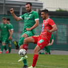 DSC08216a.jpg