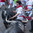 AFP_33N84F6.jpg