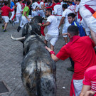 AFP_33N84FU.jpg